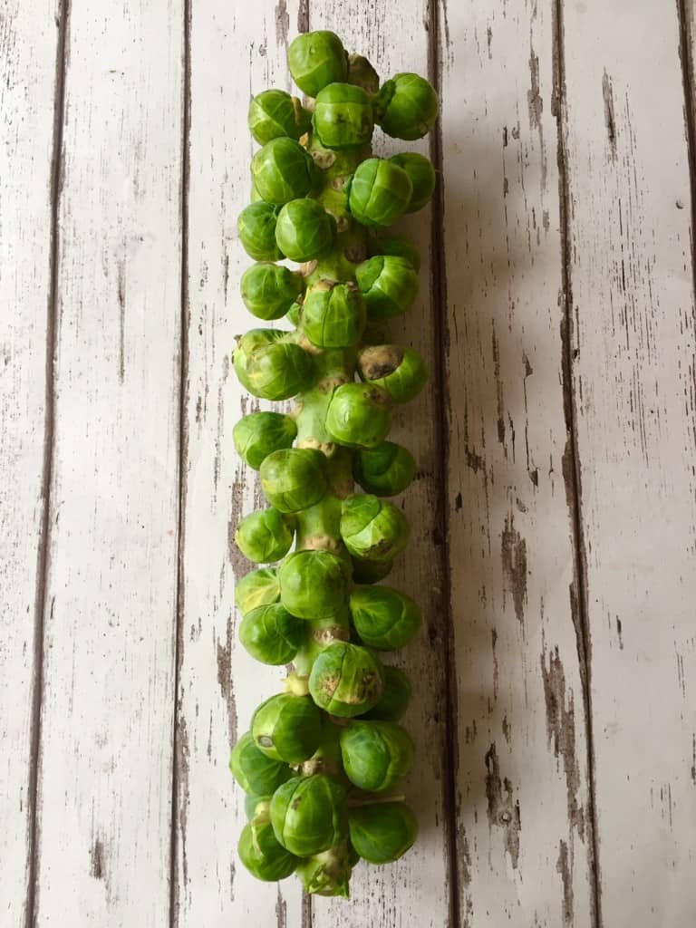 Leftover Brussel sprout pesto recipe - Image 2